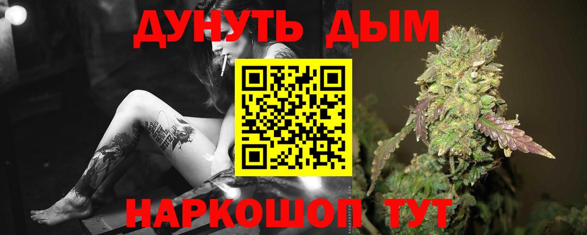 Конопля конопля Кольчугино